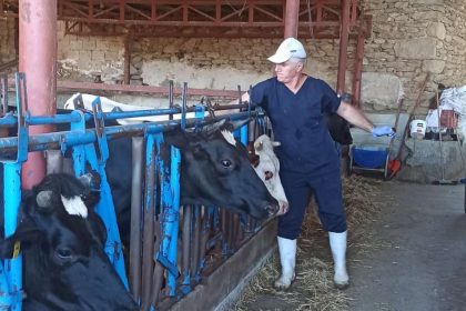 nazillide-sap-asilama-calismalari-tamamlandi