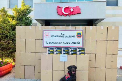 osmaniyede-kacak-makaron-operasyonunda-1-tutuklama