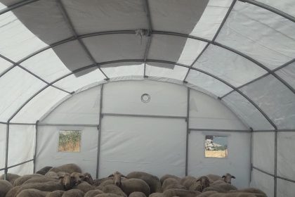 sindirgida-depremden-etkilenen-ureticilere-gecici-hayvan-barinma-cadiri-destegi