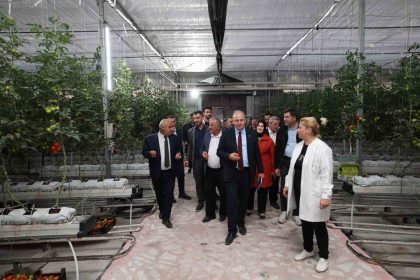 aziziyede-yatirim-turu