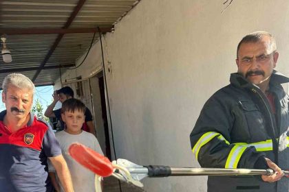 hatayda-evlere-giren-2-yilan-yakalandi