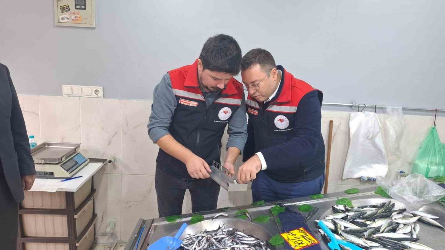 hayraboluda-balik-satis-yerleri-denetlendi