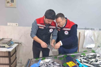 hayraboluda-balik-satis-yerleri-denetlendi