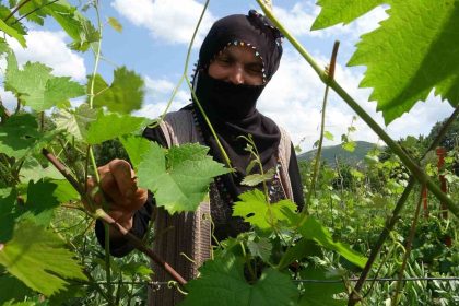 prof-dr-gercekcioglu-meyveciligi-ortu-altina-almaliyiz