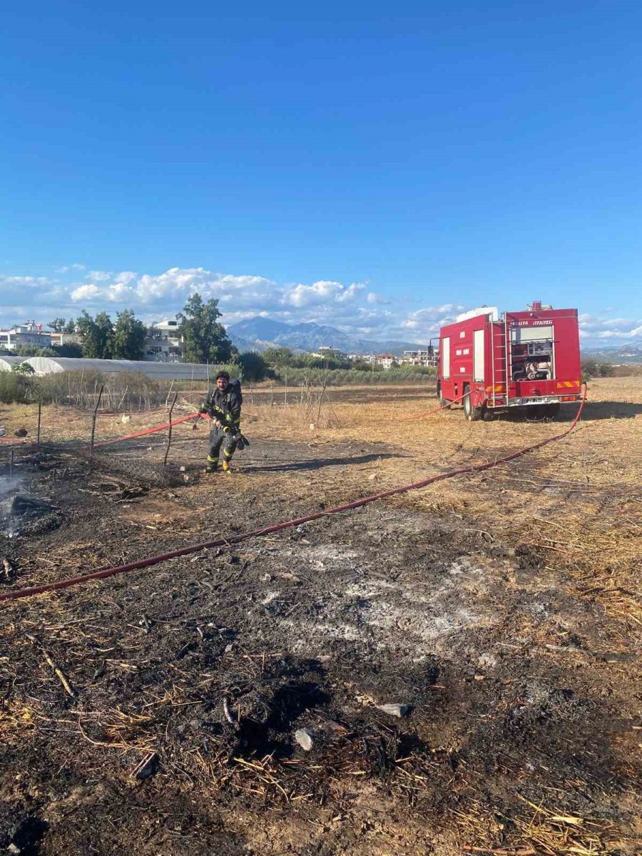 serikte-ahirda-cikan-yanginda-1-koyun-telef-oldu