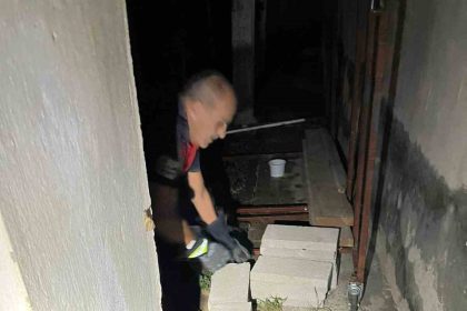 sulama-kanalina-dusen-anne-kopek-ve-yavrularini-itfaiye-ekipleri-kurtardi