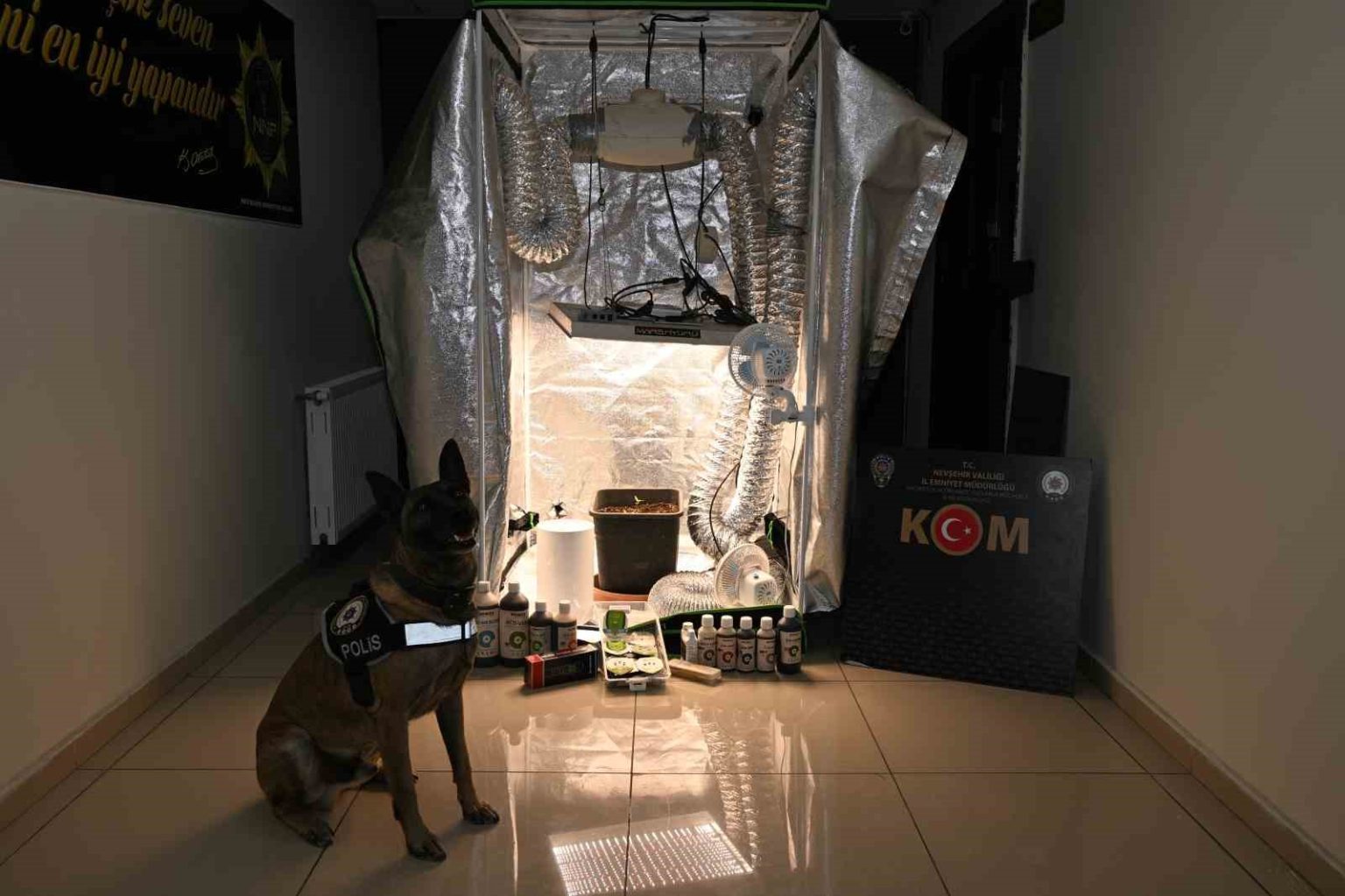 test-sonuclarina-para-karsiligi-mudahale-20-gozalti