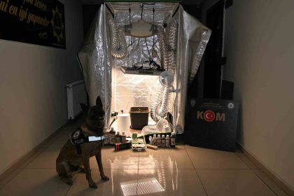 test-sonuclarina-para-karsiligi-mudahale-20-gozalti