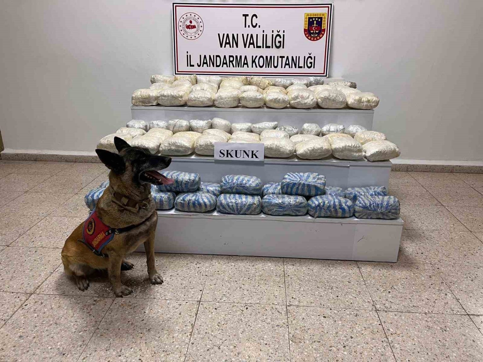 vanda-47-kilo-skunk-ele-gecirildi