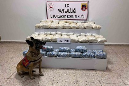 vanda-47-kilo-skunk-ele-gecirildi