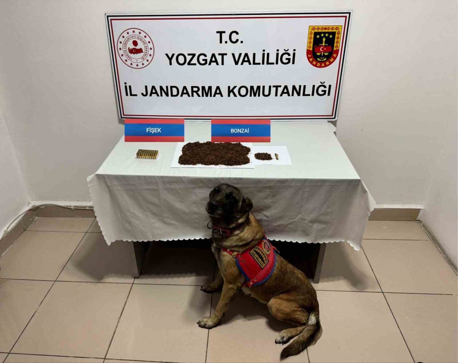 yozgatta-supheli-sahsin-aracinda-bonzai-ele-gecirildi