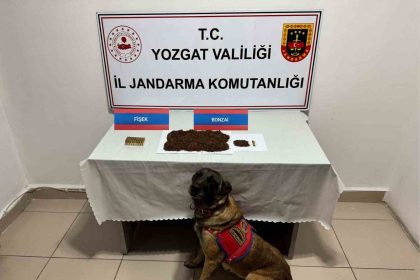 yozgatta-supheli-sahsin-aracinda-bonzai-ele-gecirildi