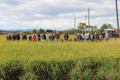 19-mayis-ilcesini-dolu-vurdu