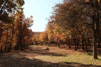 afyonkarahisarda-sonbahar-masalsi-goruntuler-ortaya-cikardi