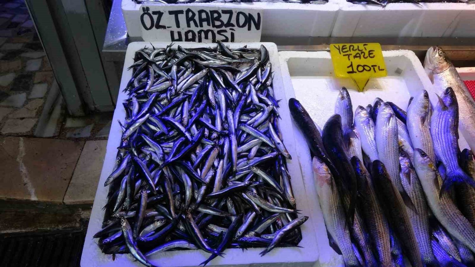 balikcilardan-patlatilan-insansiz-deniz-araclari-hamsiyi-kacirtti-iddiasi