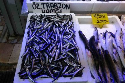 balikcilardan-patlatilan-insansiz-deniz-araclari-hamsiyi-kacirtti-iddiasi