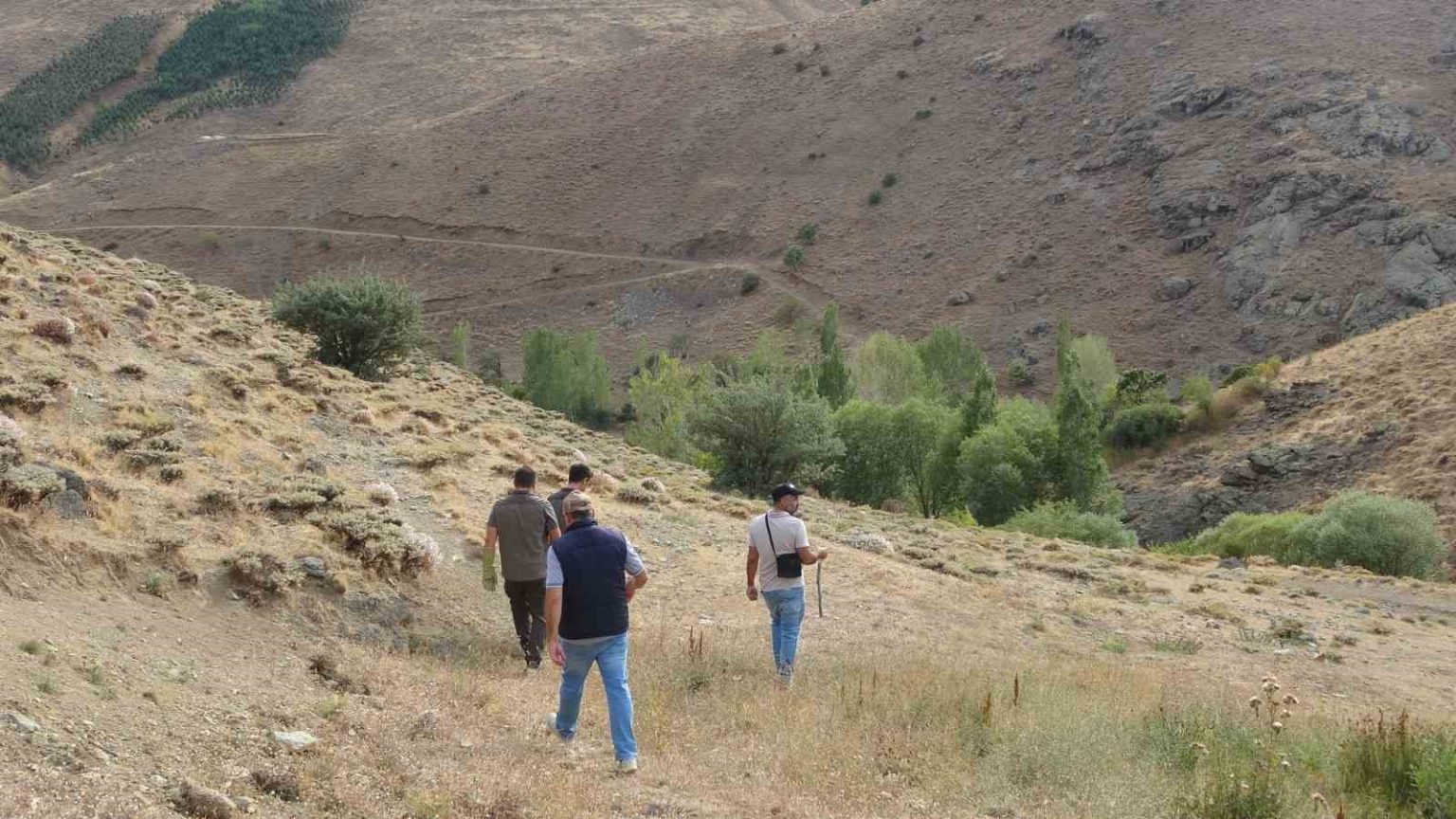 bayburtta-annesini-kaybeden-yavru-ayi-koyu-alarma-gecirdi