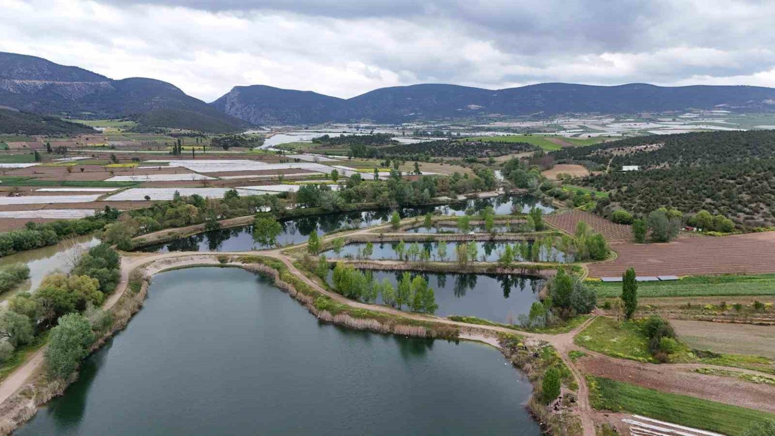 bilecikin-ilk-sulak-alani-besgoller-koruma-altinda