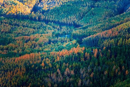 dogaseverlerin-kayserideki-sakli-hazinesi-ortaseki-ormanlari