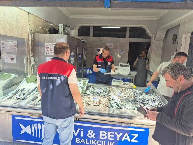 duzcede-su-urunleri-denetimi-yasal-boy-altindaki-11-kasa-baliga-el-konuldu