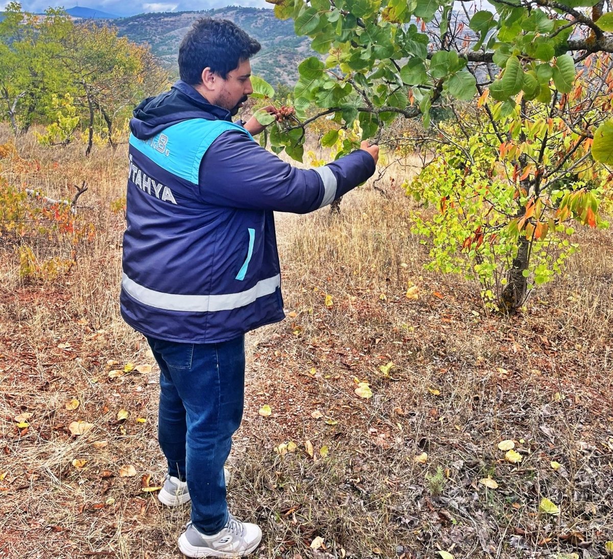 emette-uydu-takibi-yapilan-arazilerde-fiziki-kontroller-yapildi