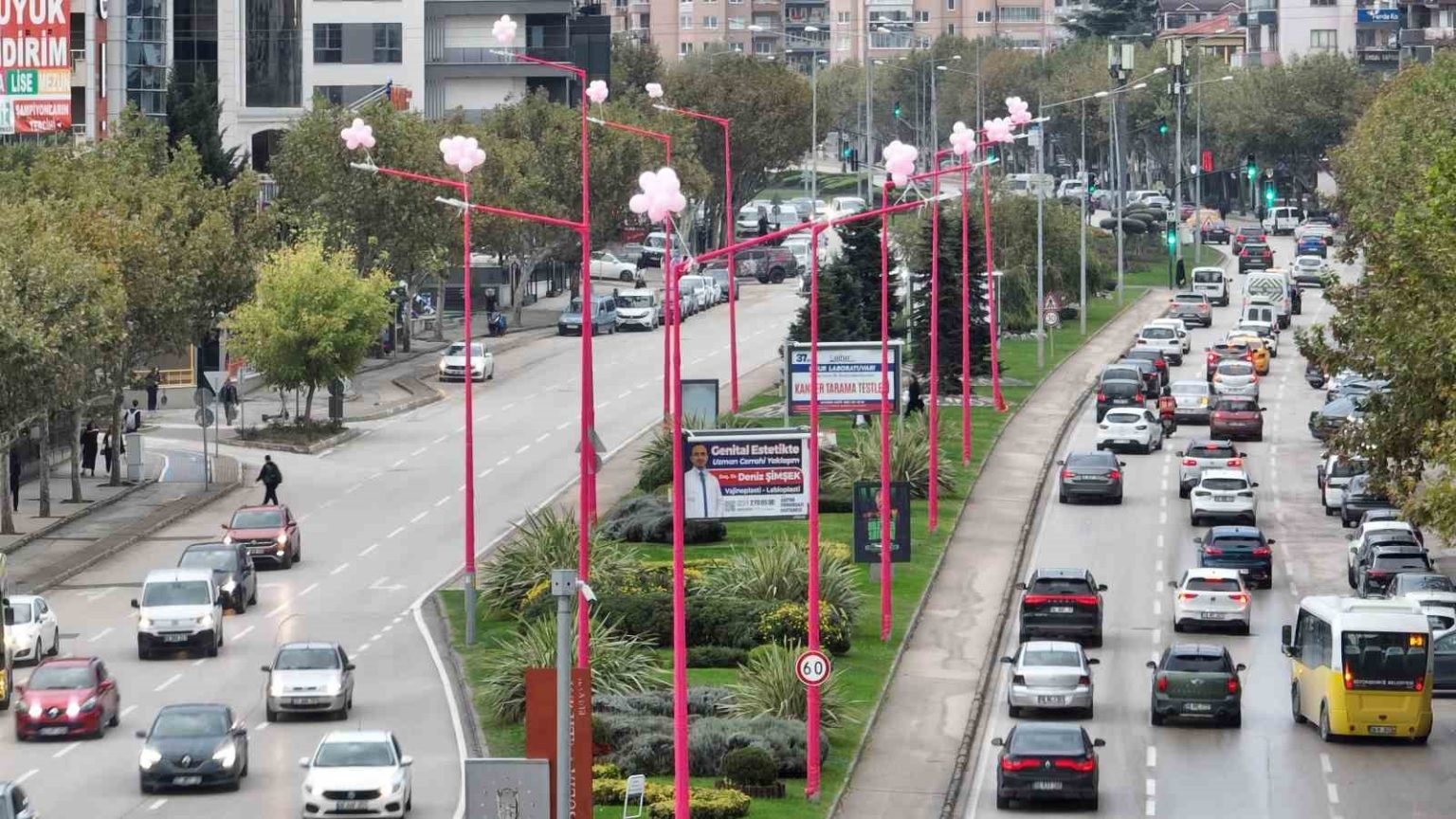 erken-teshis-icin-sokak-lambalari-pembe-yaniyor