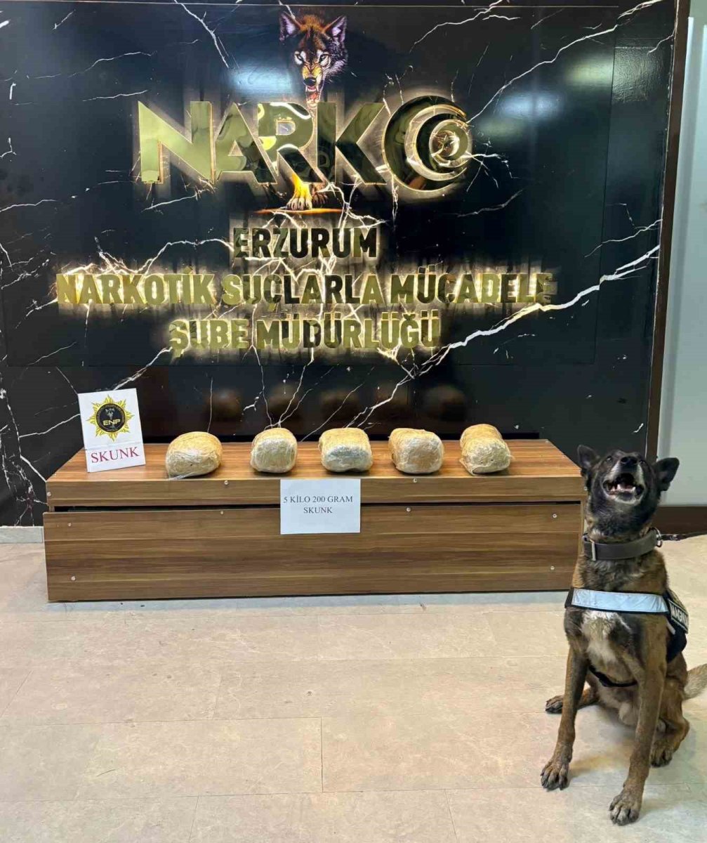 erzurumda-5-kilo-200-gram-skunk-maddesi-ele-gecirildi