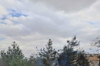 fabrikanin-agaclik-alaninda-cikan-yangin-korkuttu