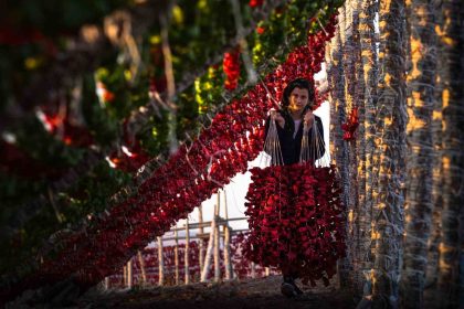 gaziantep-sebze-kurutmaliklari-kuresel-lezzet-haline-geldi
