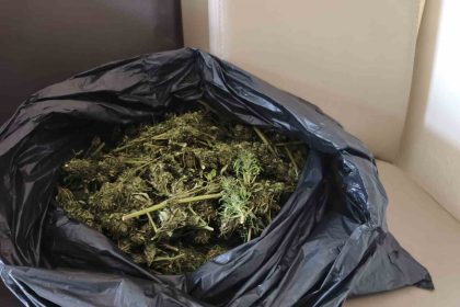 guvercin-kumesinde-uyusturucu-ele-gecirildi