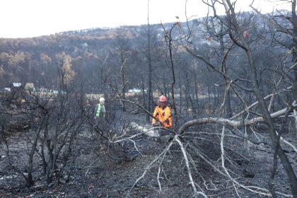 honaz-dagi-milli-parkinda-yanan-alanlar-yesillendiriliyor