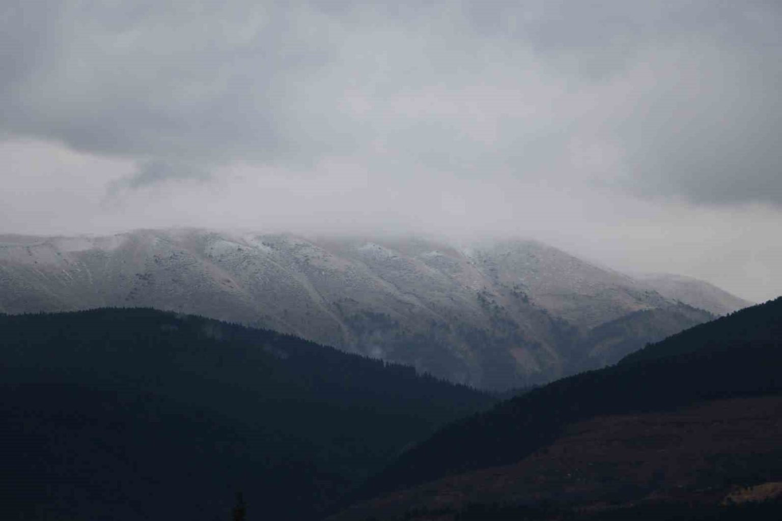 ilgaz-dagi-mevsimin-ilk-kari-ile-beyaza-burundu