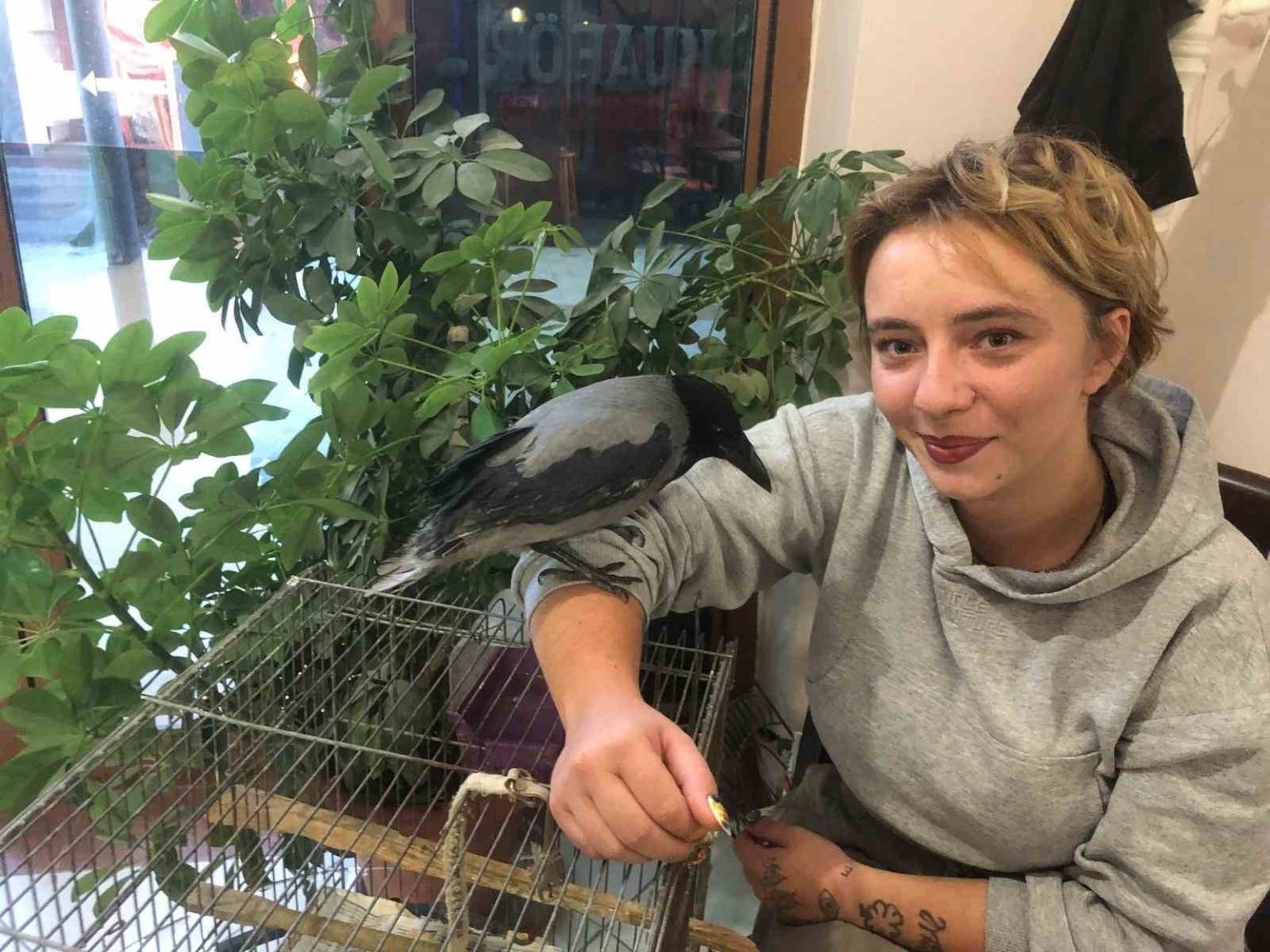 kahvehane-bagimlisi-karga-mahallenin-maskotu-haline-geldi