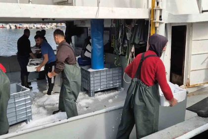 kasa-kasa-balikla-dondulertekirdagli-balikcilarin-yuzu-guluyor