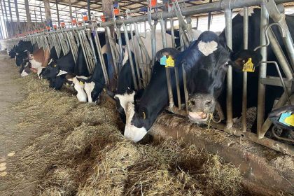 kirmizi-et-fiyatlarinin-atesi-dustu