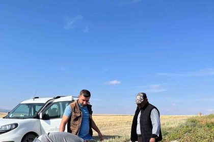 patates-hasadi-oncesi-inceleme-yapildi