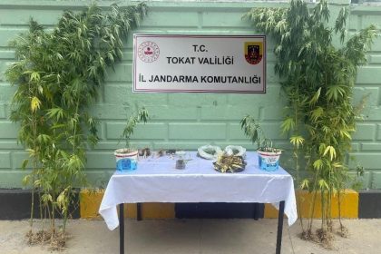 tokatta-jandarma-ekipleri-tarafindan-2-ayda-56-kisi-hakkinda-uyusturucuya-bagli-suclarindan-islem-yapildi