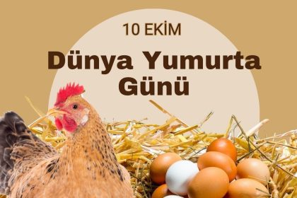 turk-veteriner-hekimleri-birligi-baskani-eroglu-yumurta-doganin-en-essiz-gida-kaynaklarindan-biridir