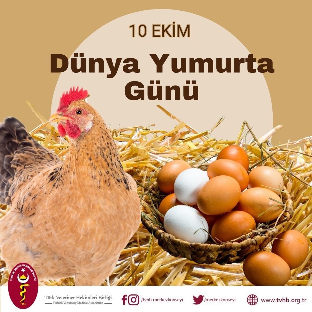 turk-veteriner-hekimleri-birligi-baskani-eroglu-yumurta-doganin-en-essiz-gida-kaynaklarindan-biridir