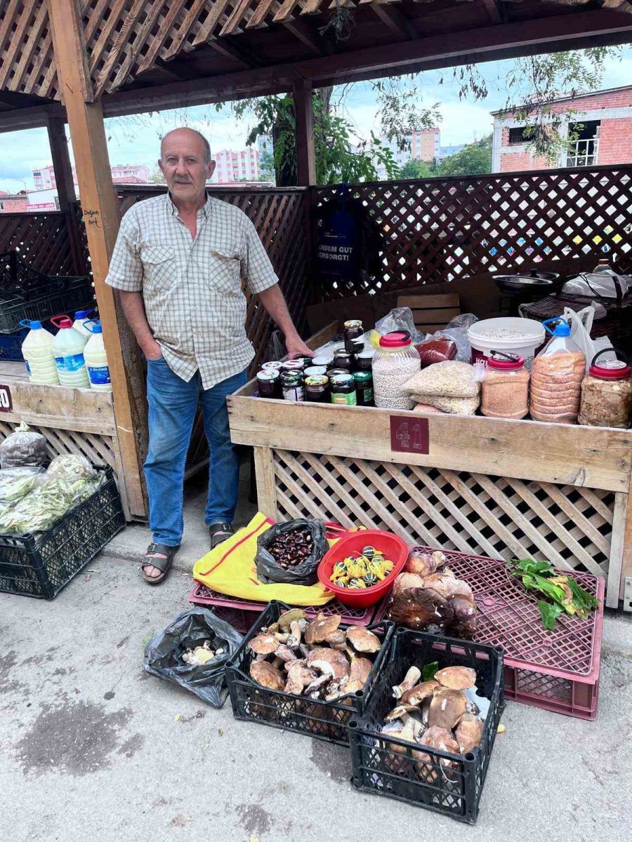 turkelide-kestane-ve-feslegen-mantari-tezgahlarda