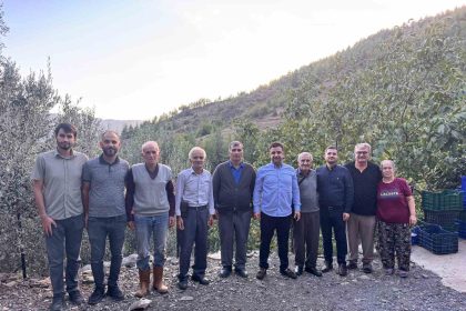 antalyada-cografi-isaretli-cekirdeksiz-narin-hasadi-basladi