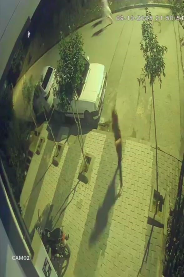 arnavutkoyde-faciadan-donuldu-freni-patlayan-arac-cocuklarin-arasina-boyle-daldi