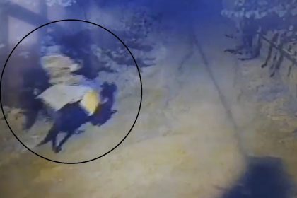 atla-geldi-yasli-cifti-oldurup-kacti