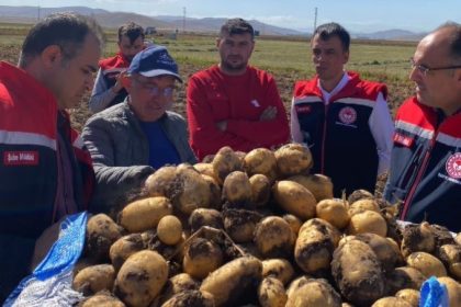 bayburtta-patates-hasadina-baslandi