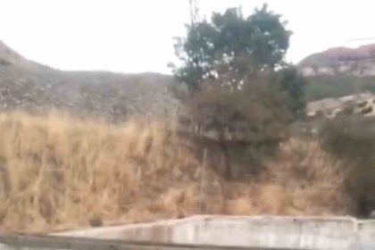 bingolde-sulama-havuzuna-dusen-yavru-ayi-kurtarildi