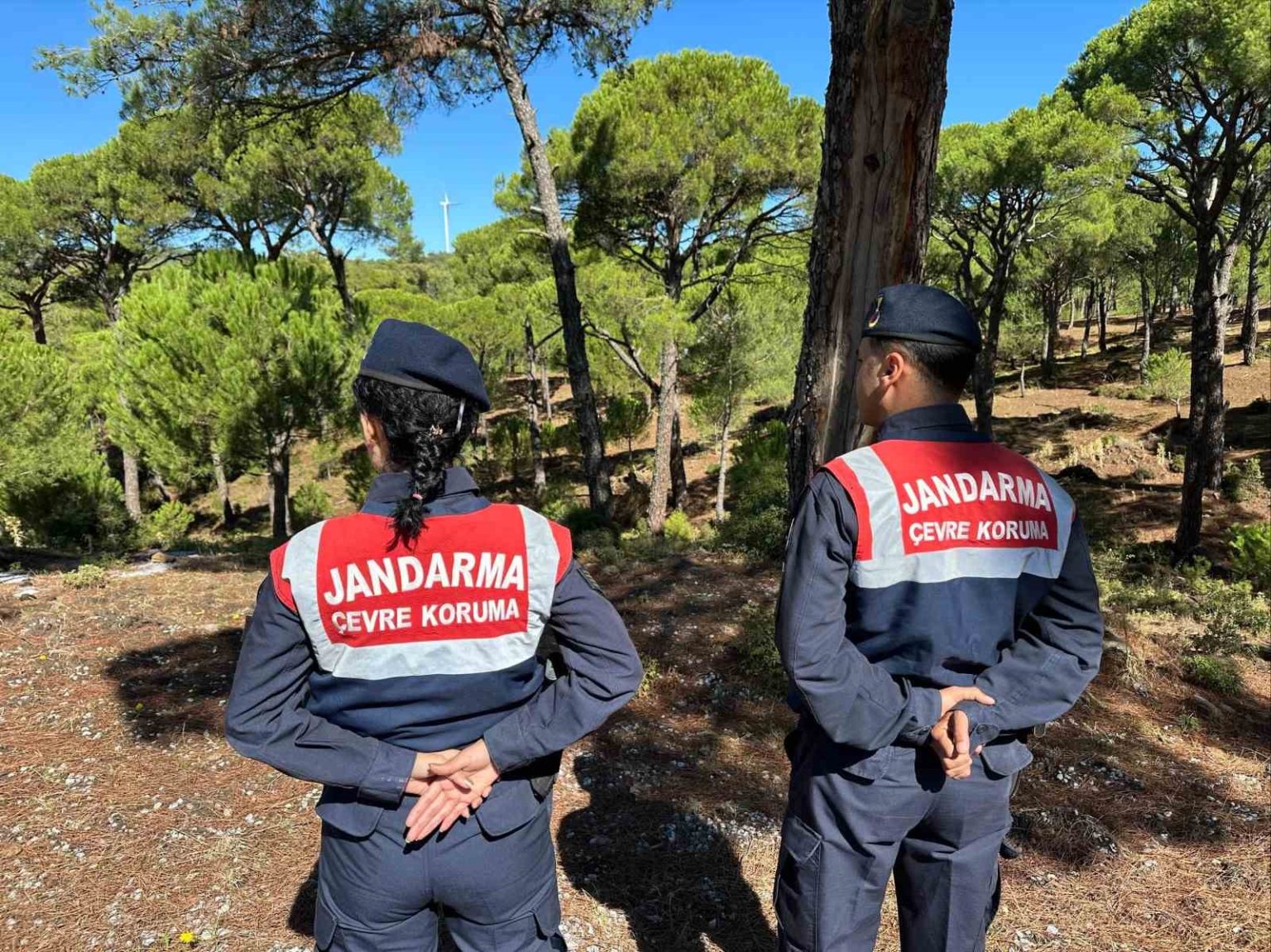 bu-cicegi-koparana-557-bin-tl-ceza