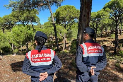 bu-cicegi-koparana-557-bin-tl-ceza