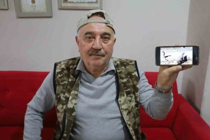 kanka-olan-kedi-ve-tilki-dikkat-cekti