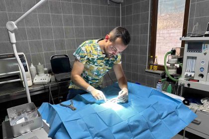 osmanelinde-olta-ignesi-batmis-kedi-kurtarildi