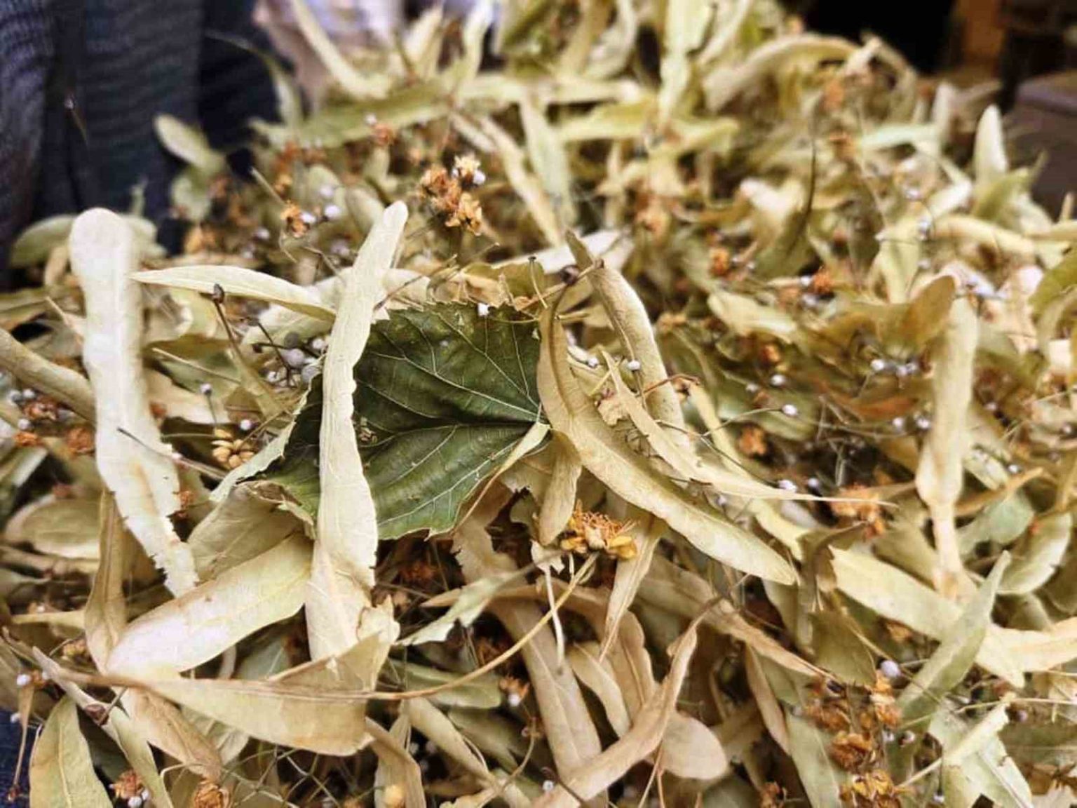 sifa-deposu-ihlamura-ilgi-artti